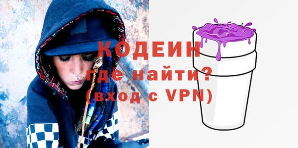 дмт Инсар